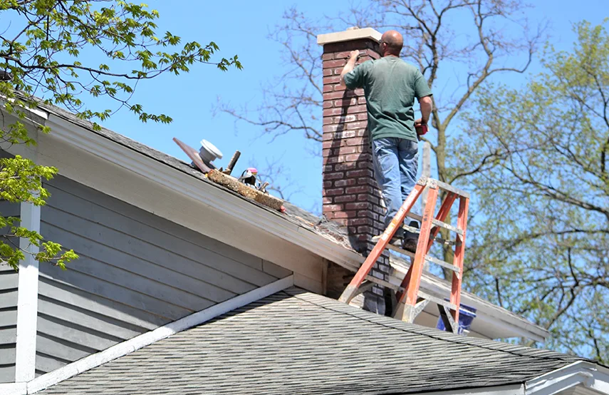 Chimney & Fireplace Inspections Services in Chapel Hill, NC
